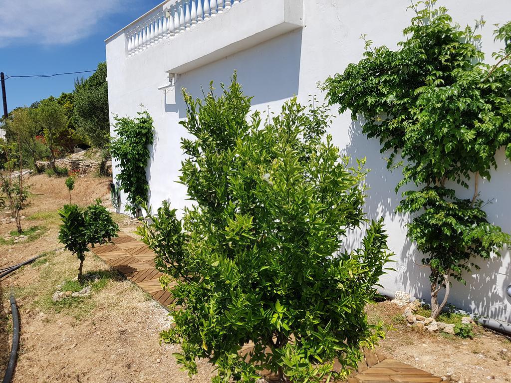 Achlia Villa Aphrodite מראה חיצוני תמונה
